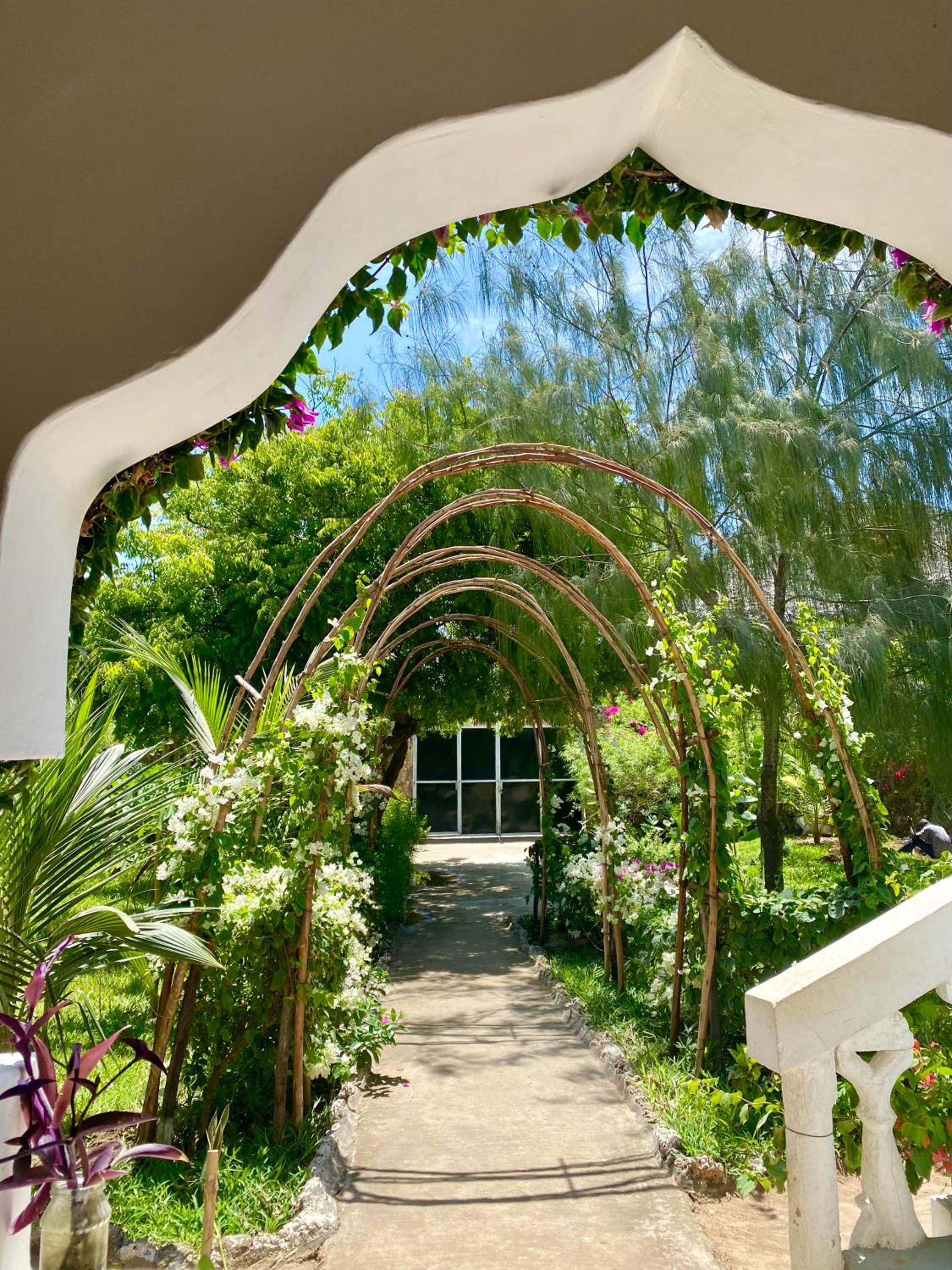 Garden view apartment