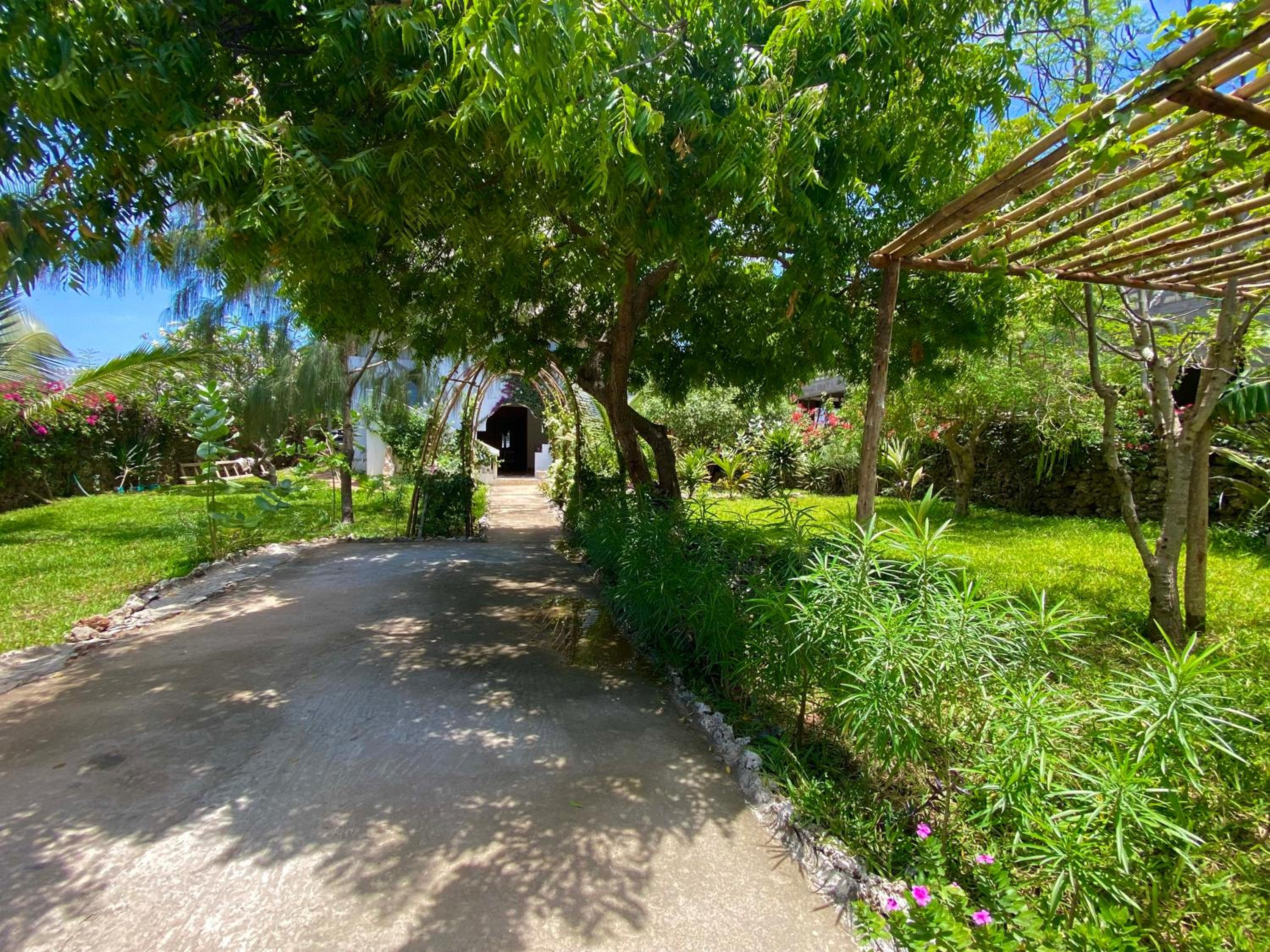 Garden view apartment