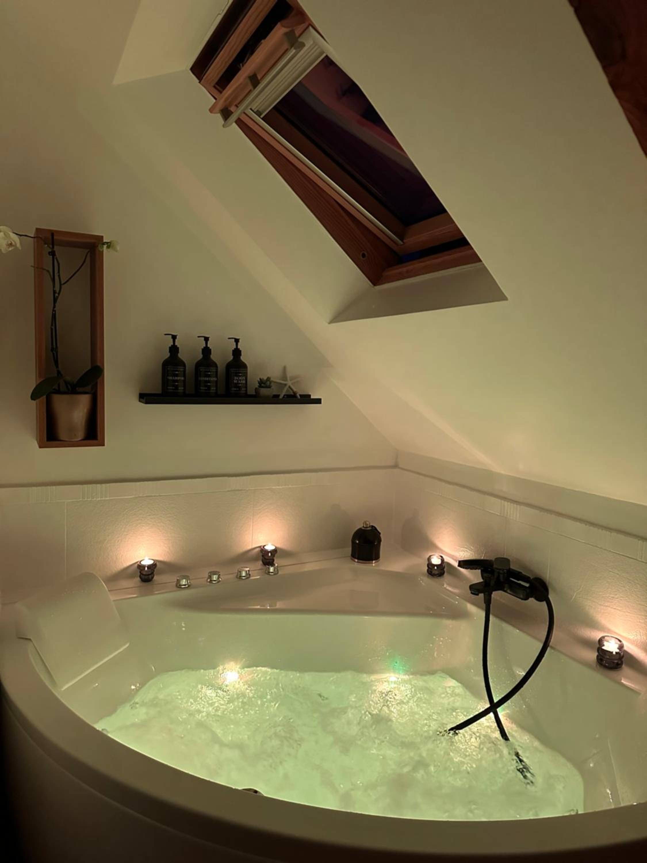 Les Libellules Appartement avec baignoire spa à Dinan Lanvallay