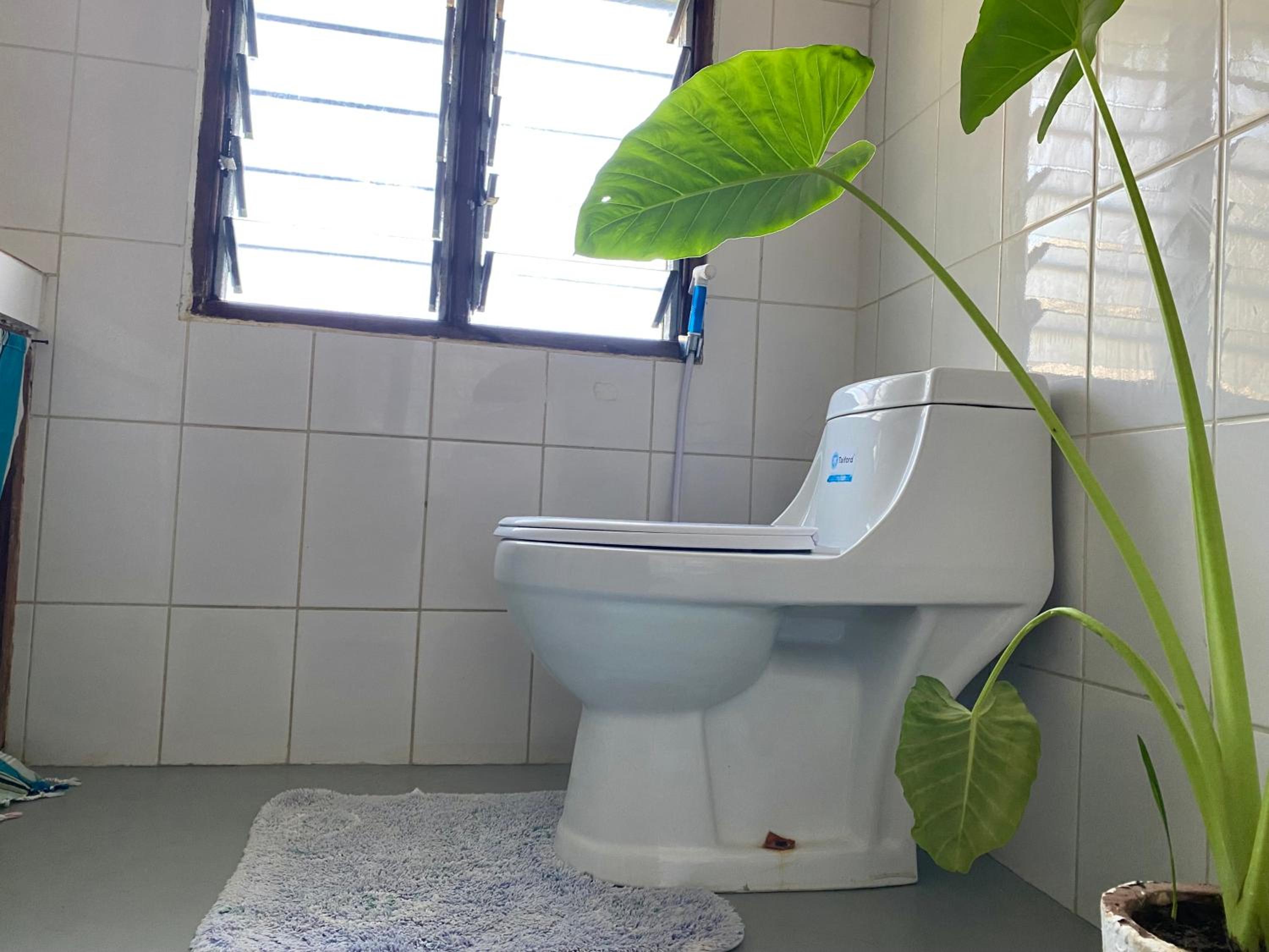 Garden view apartment