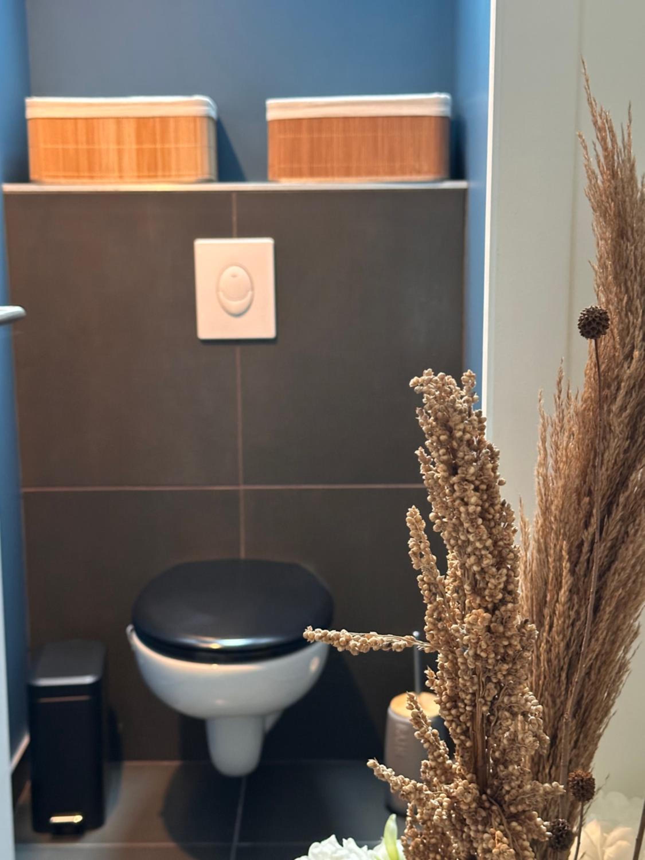 Les Libellules Appartement avec baignoire spa à Dinan Lanvallay