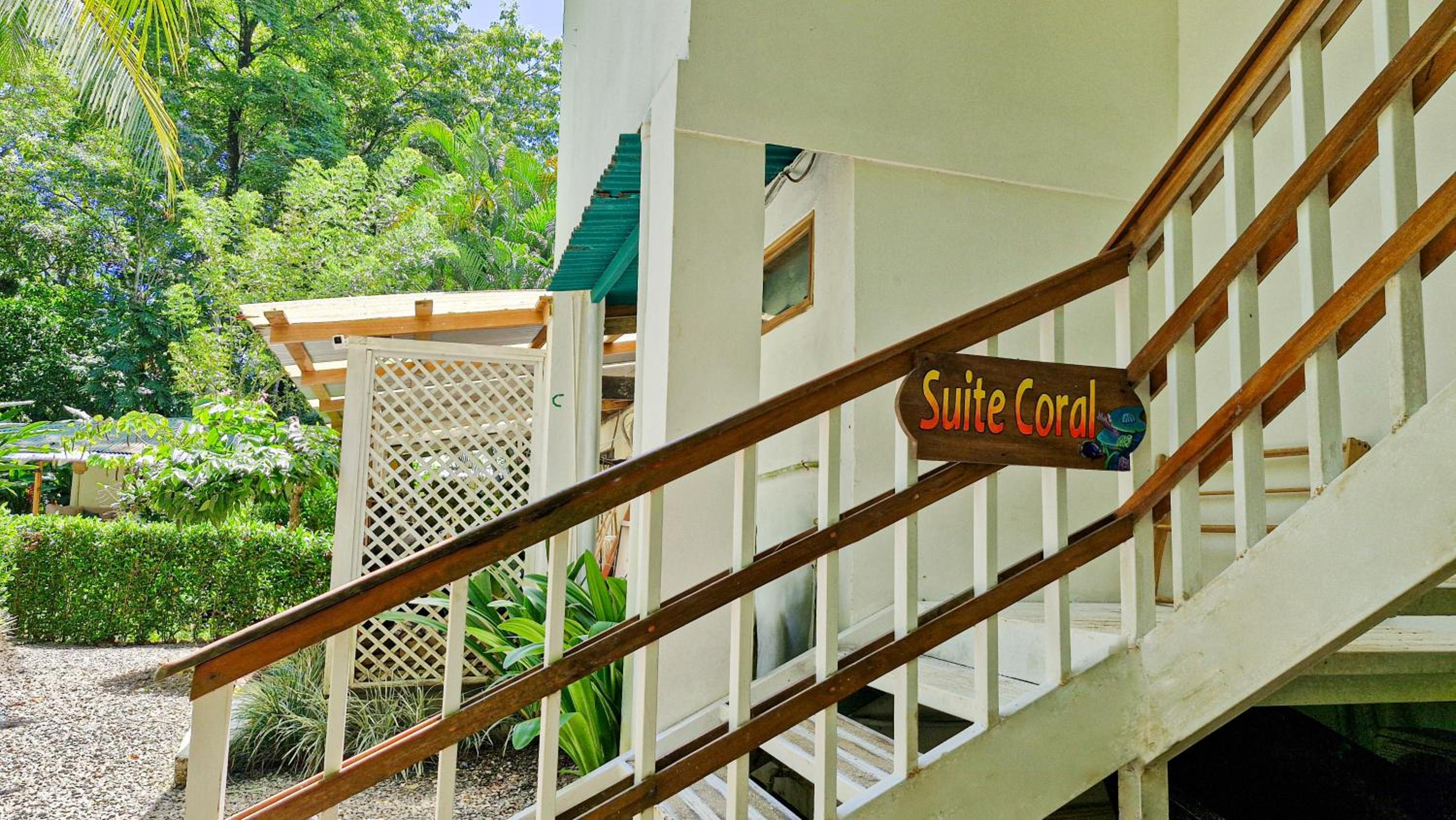Coral Suite near the beach