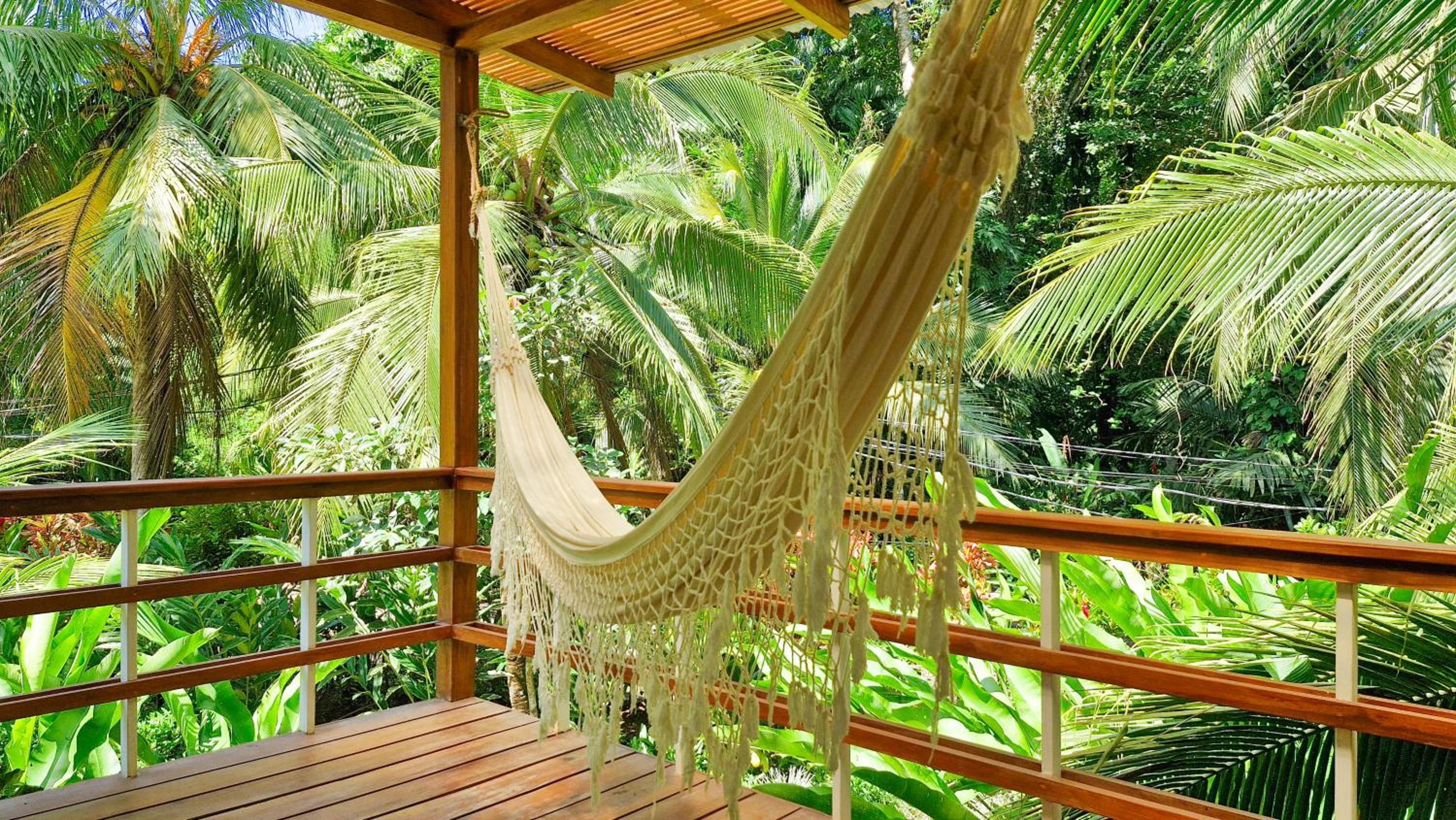 Coral Suite near the beach