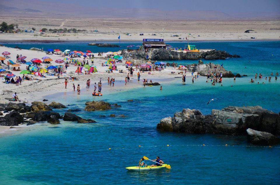 zona para acampar bahía inglesa