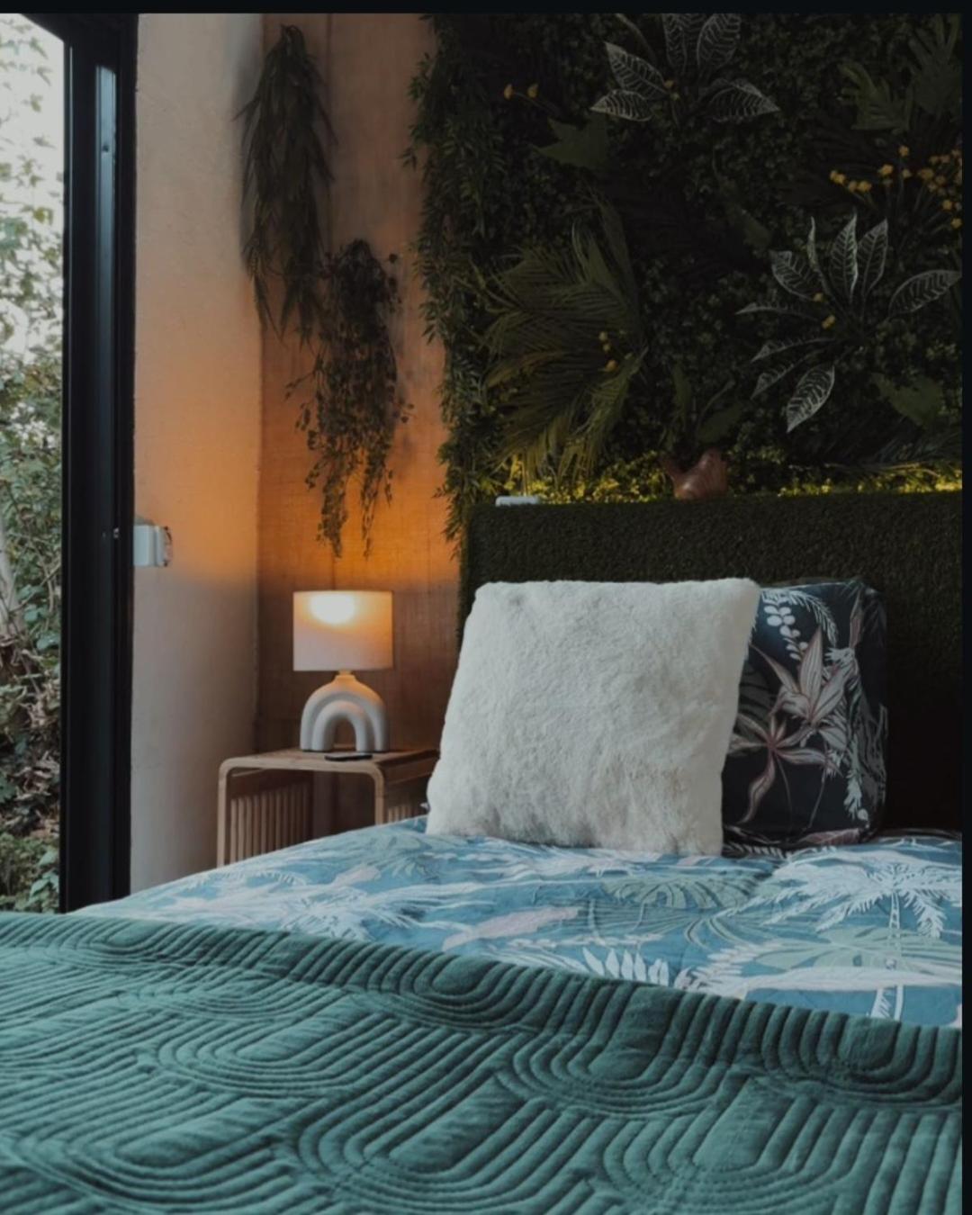 Nuit insolite Conteneur Tropical