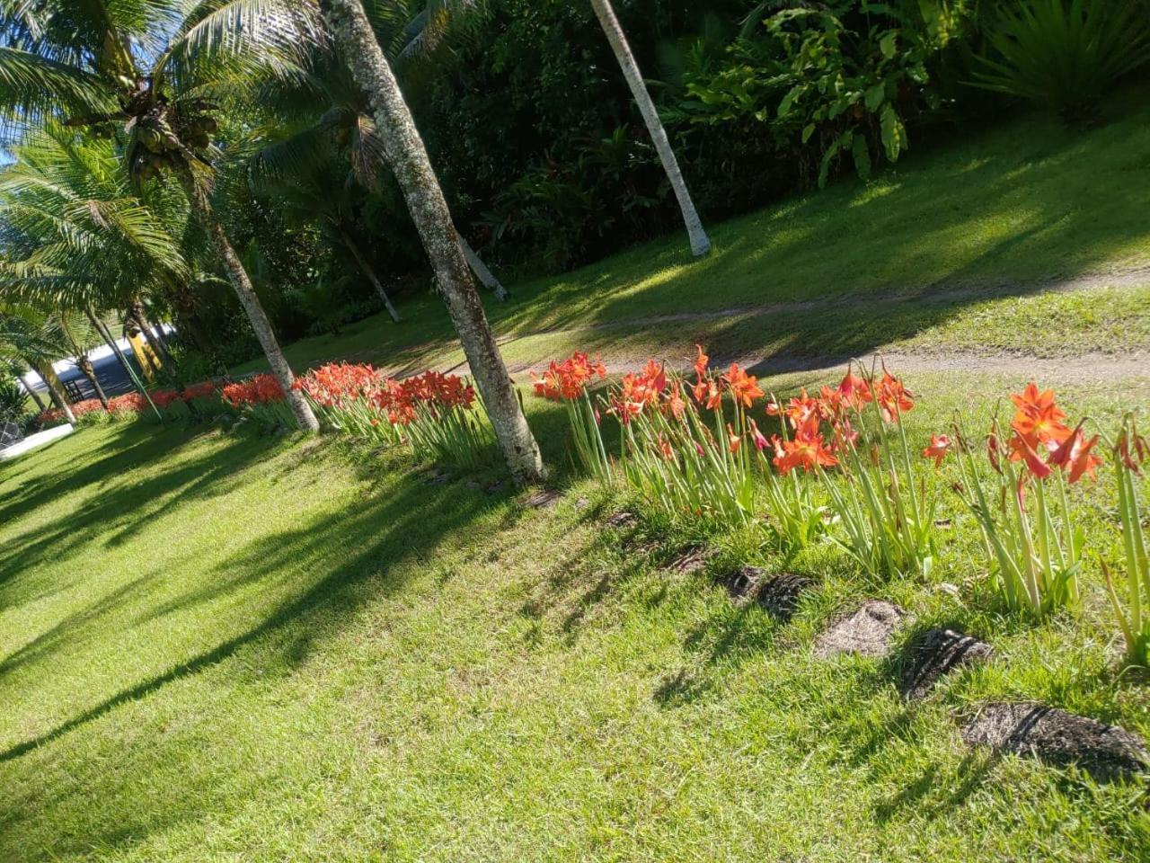 URU Eventos