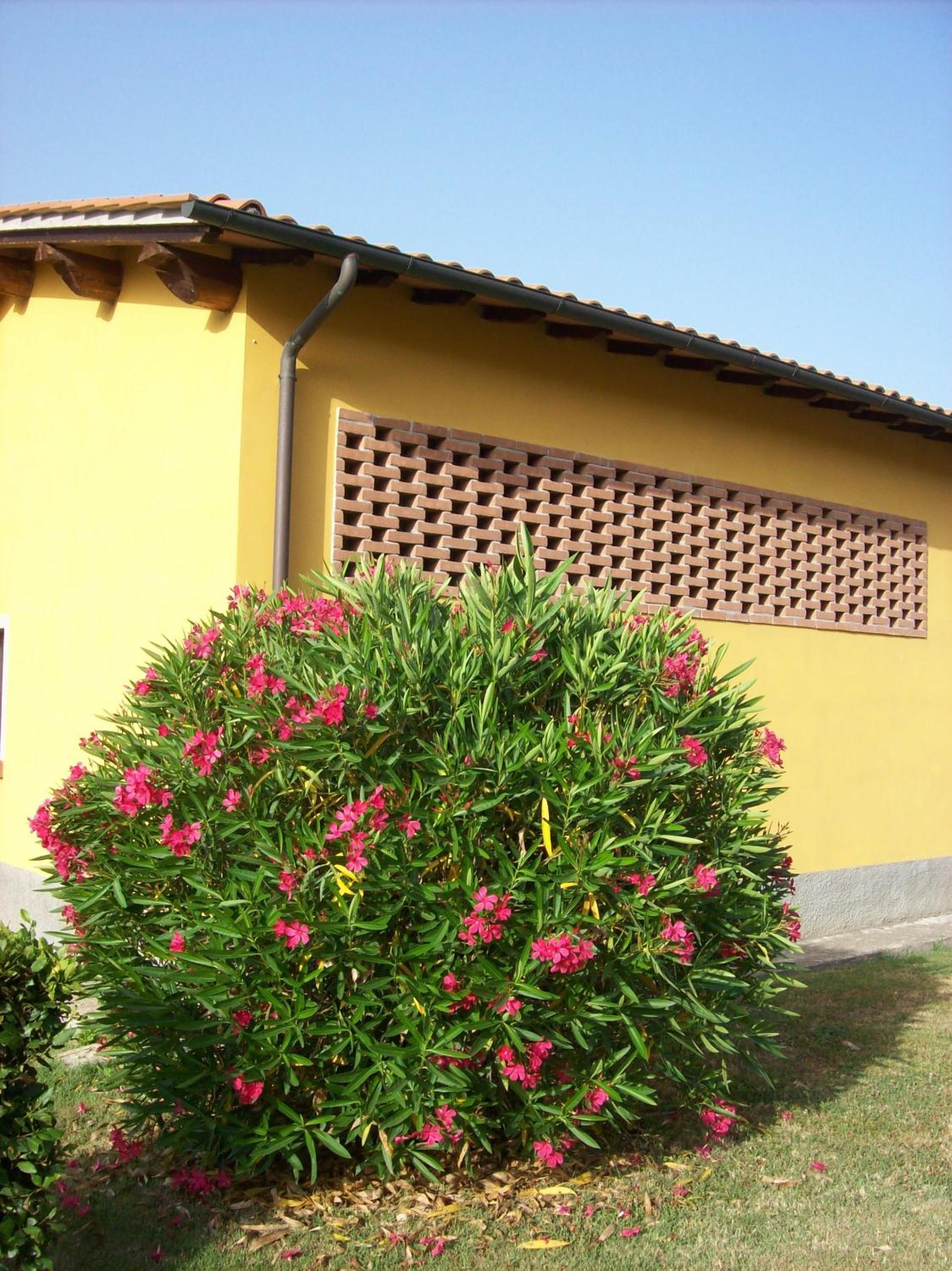Agriturismo Podere Bellosguardo