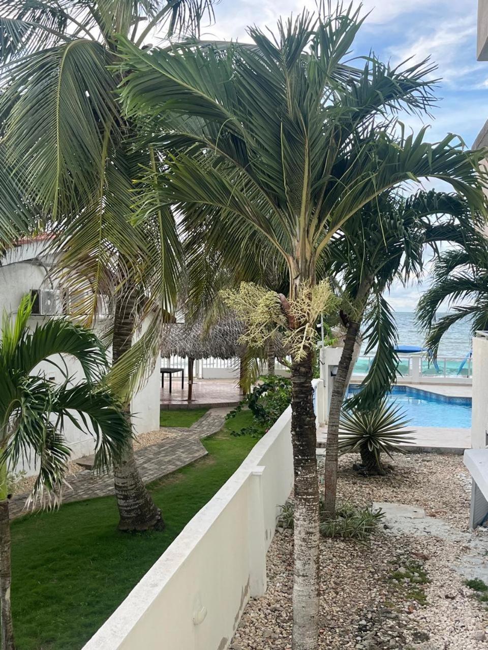 Hermoso Apartamento Frente al Mar 2 Habitaciones B12B
