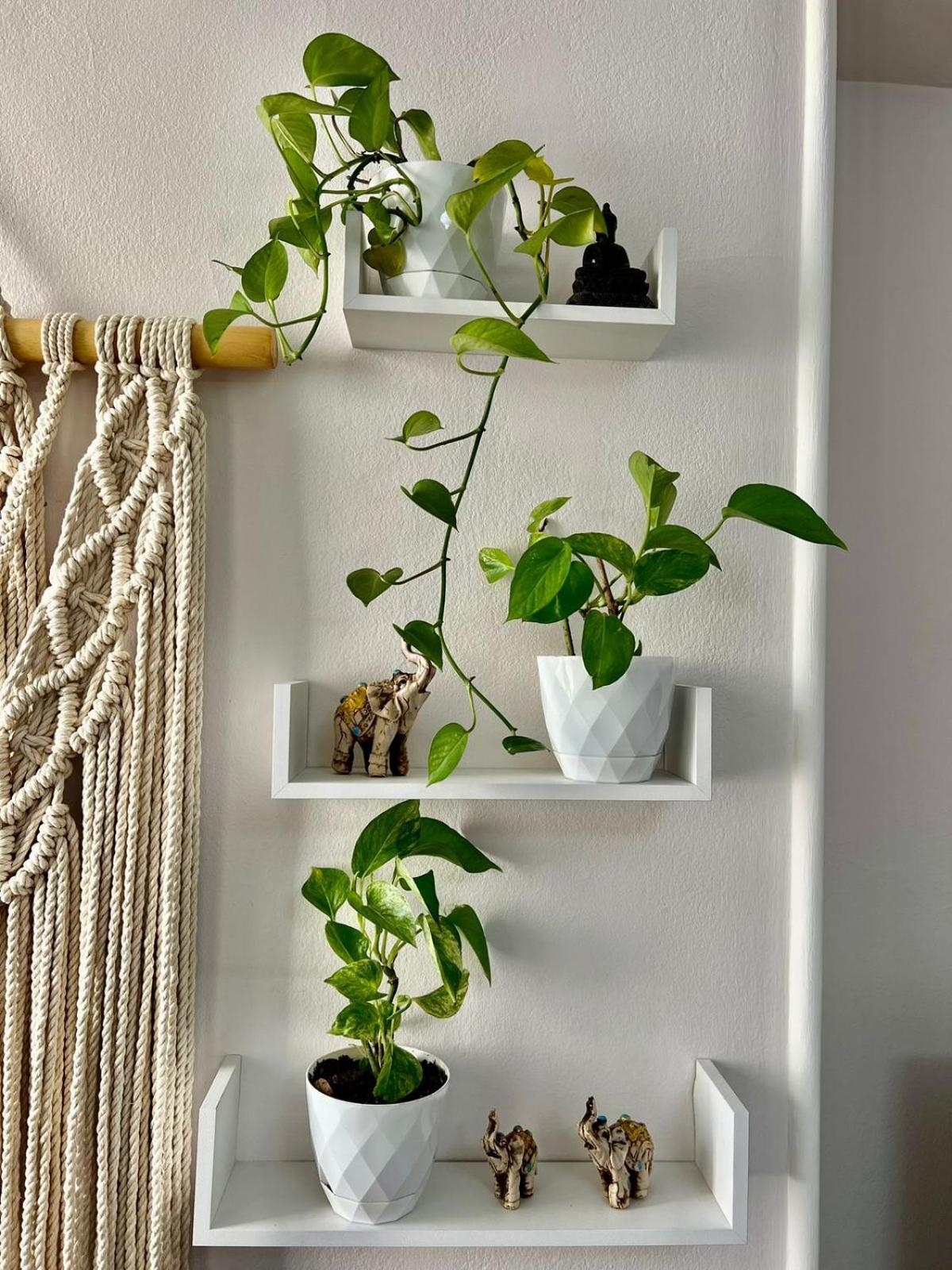 Tirana Center Tourist Apartment
