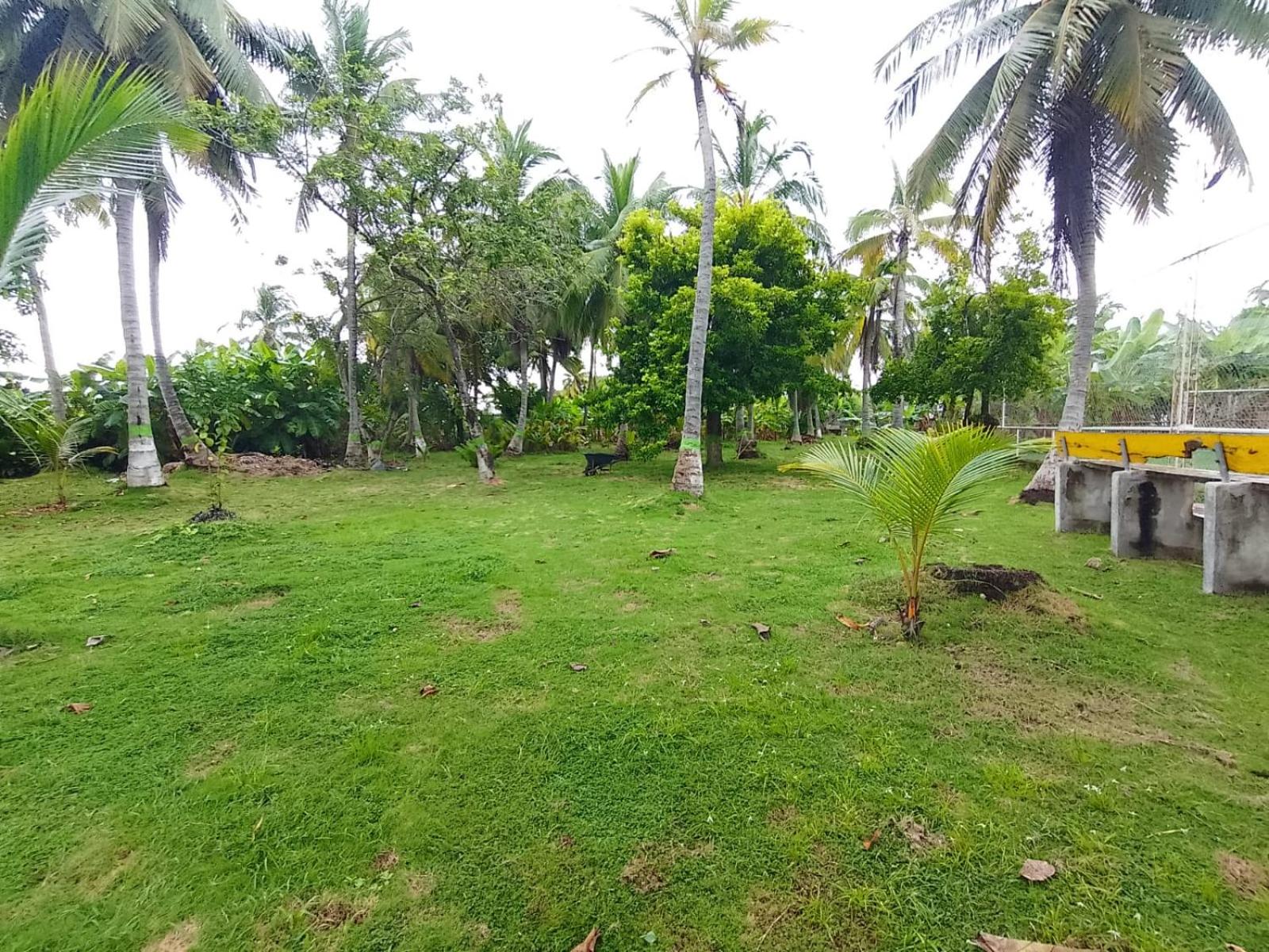 El Rancho D