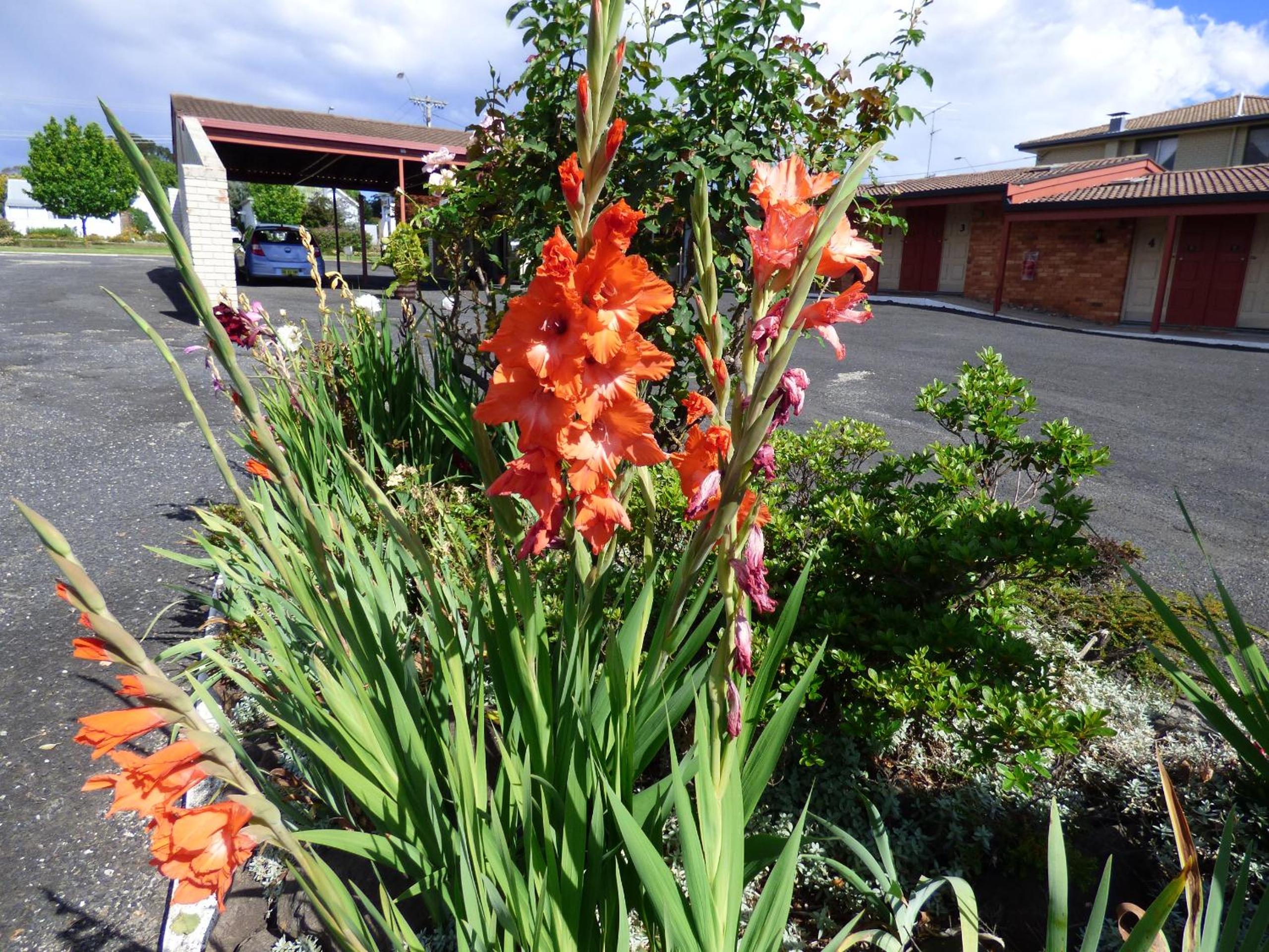 Anna Bella Motel Glen Innes
