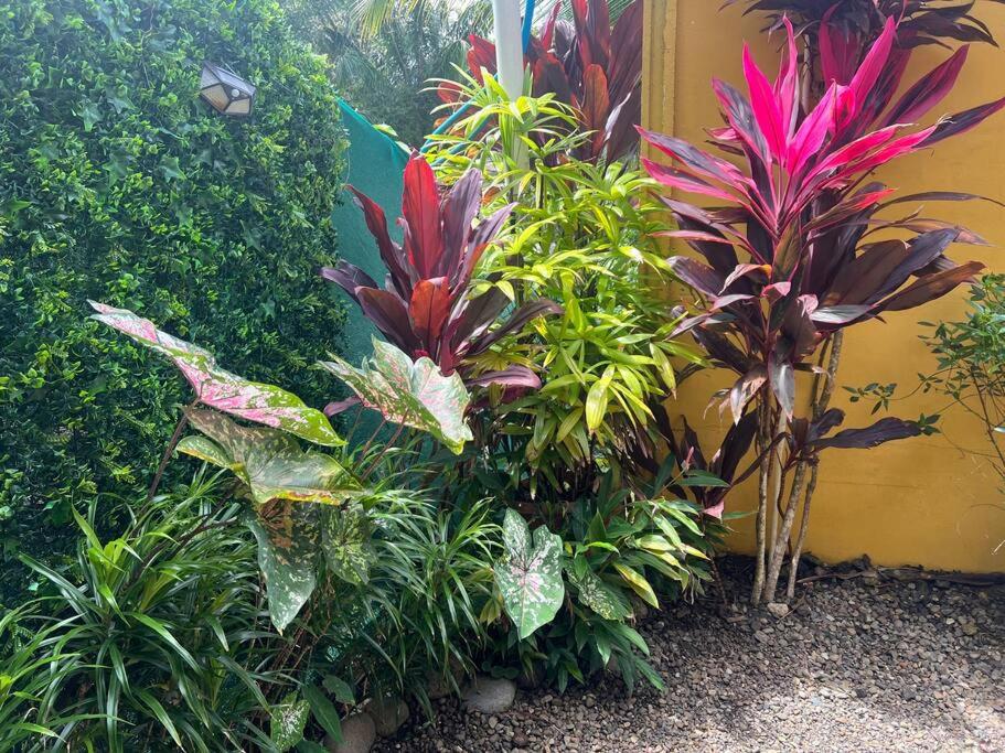 House 5 minutes from beach and National Park