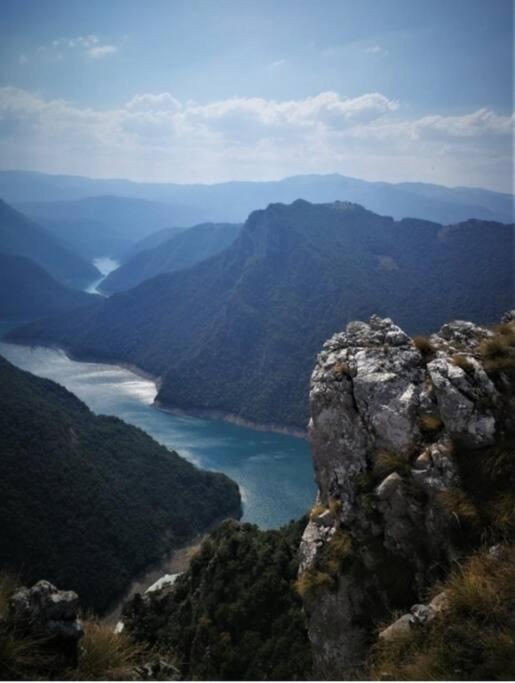 Photo 43