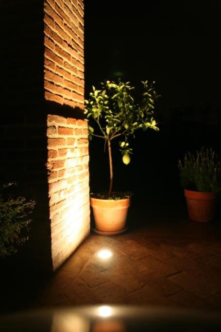 Photo 12