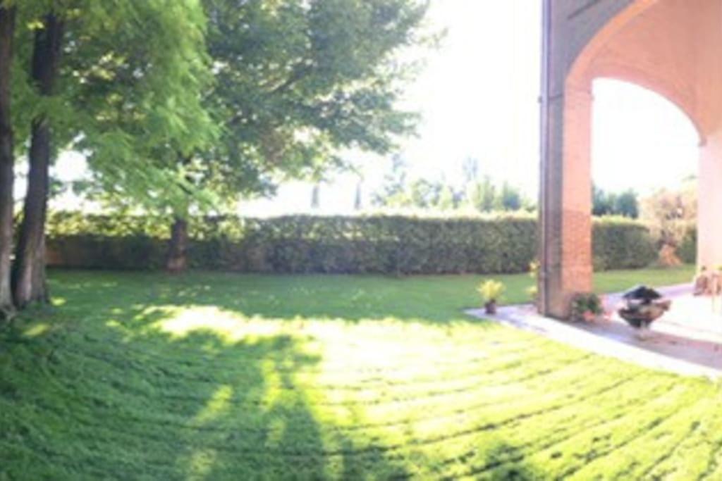 Photo 51