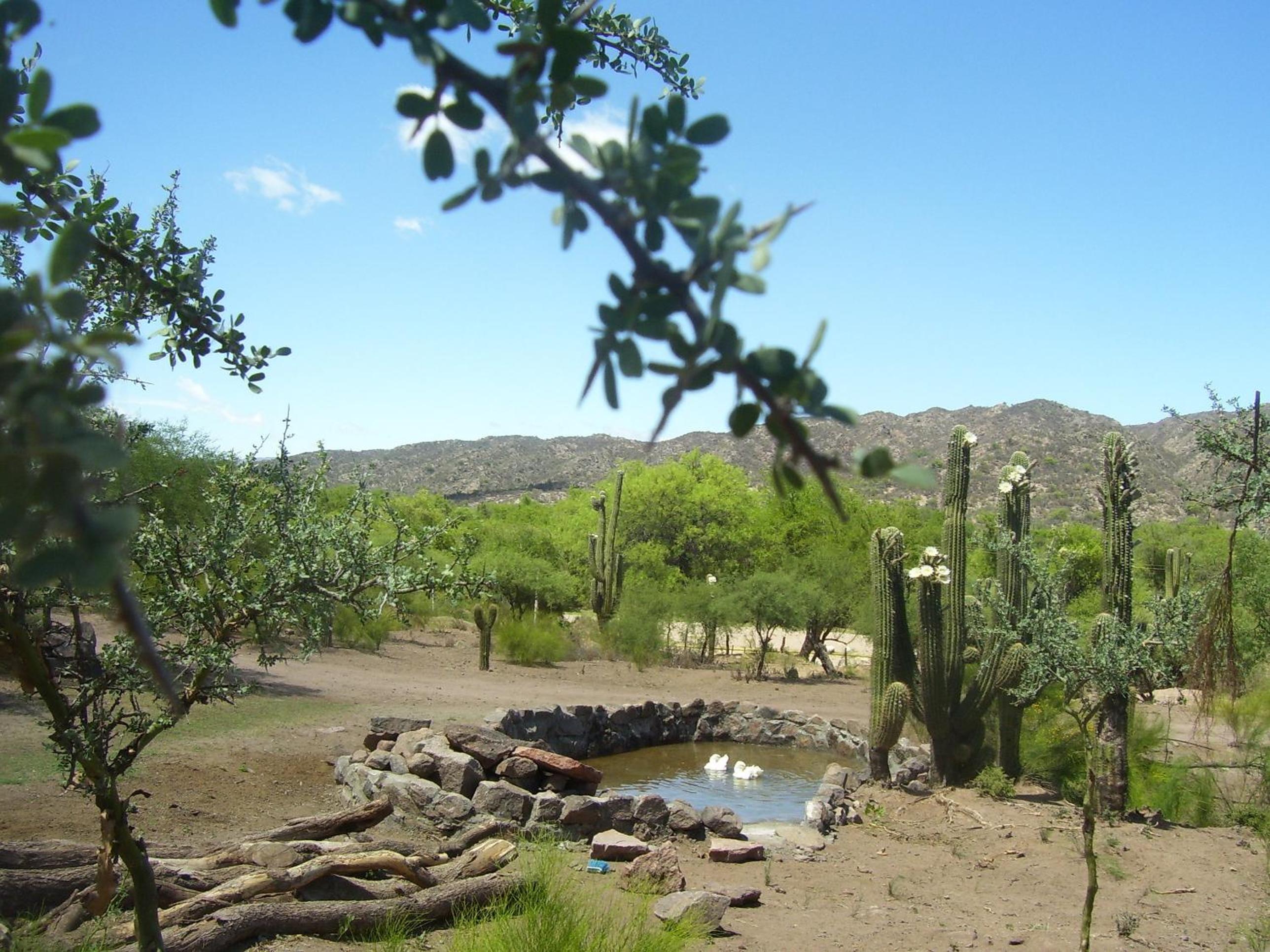 Finca Puesta del sol