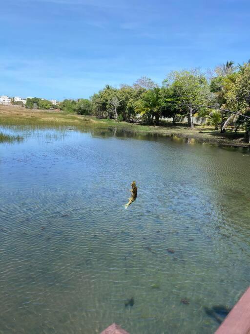 Praia da Espera - Paraíso em Itacimirim - Quinta das Lagoas Reserva
