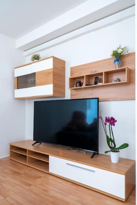 Spacious Stone Belvedere Apartment