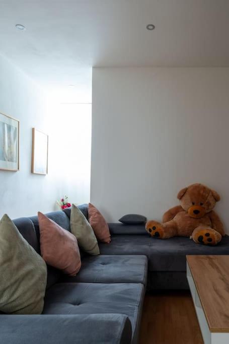 Spacious Stone Belvedere Apartment