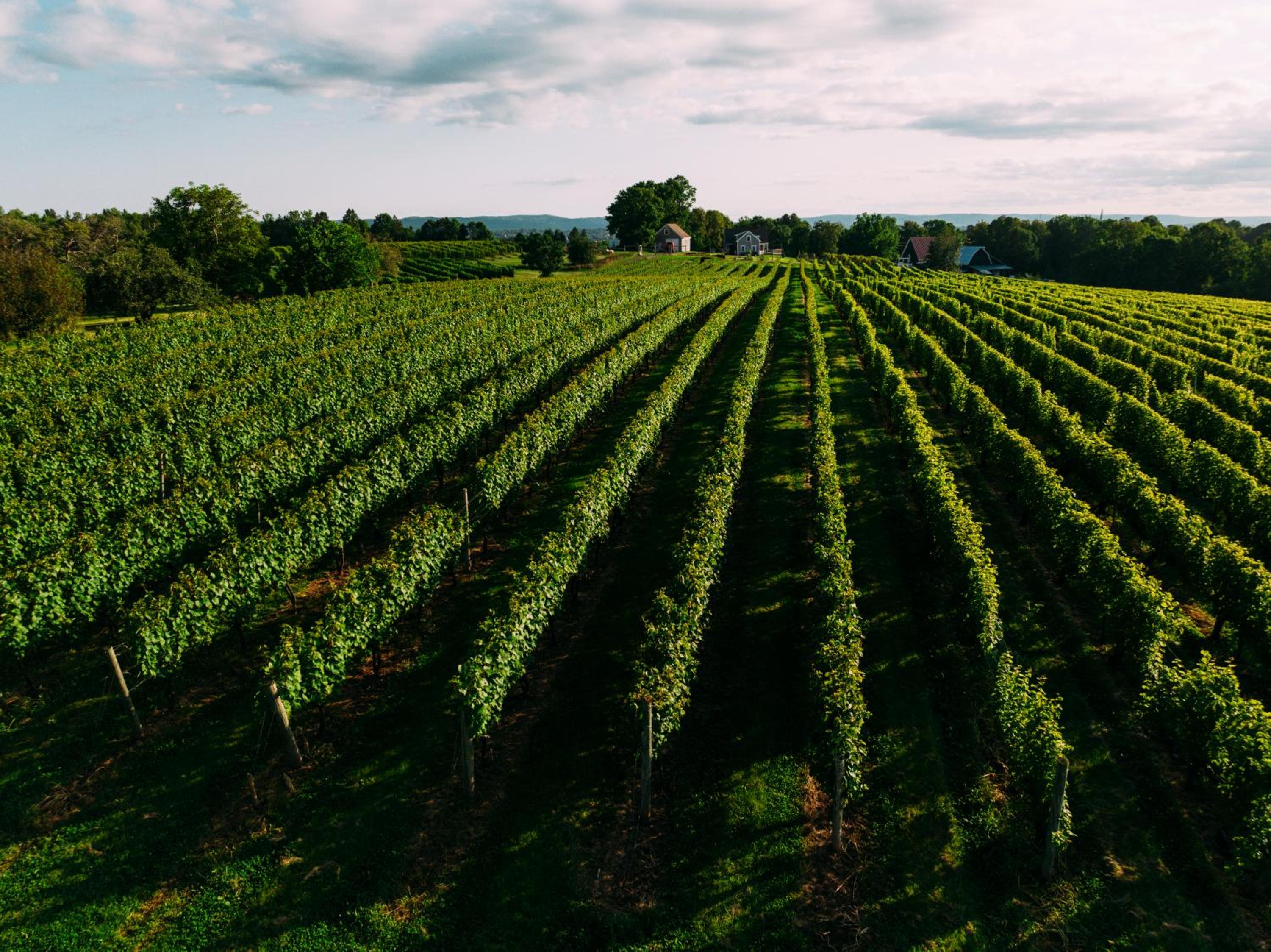 The Farmhouse at Avondale Sky Winery