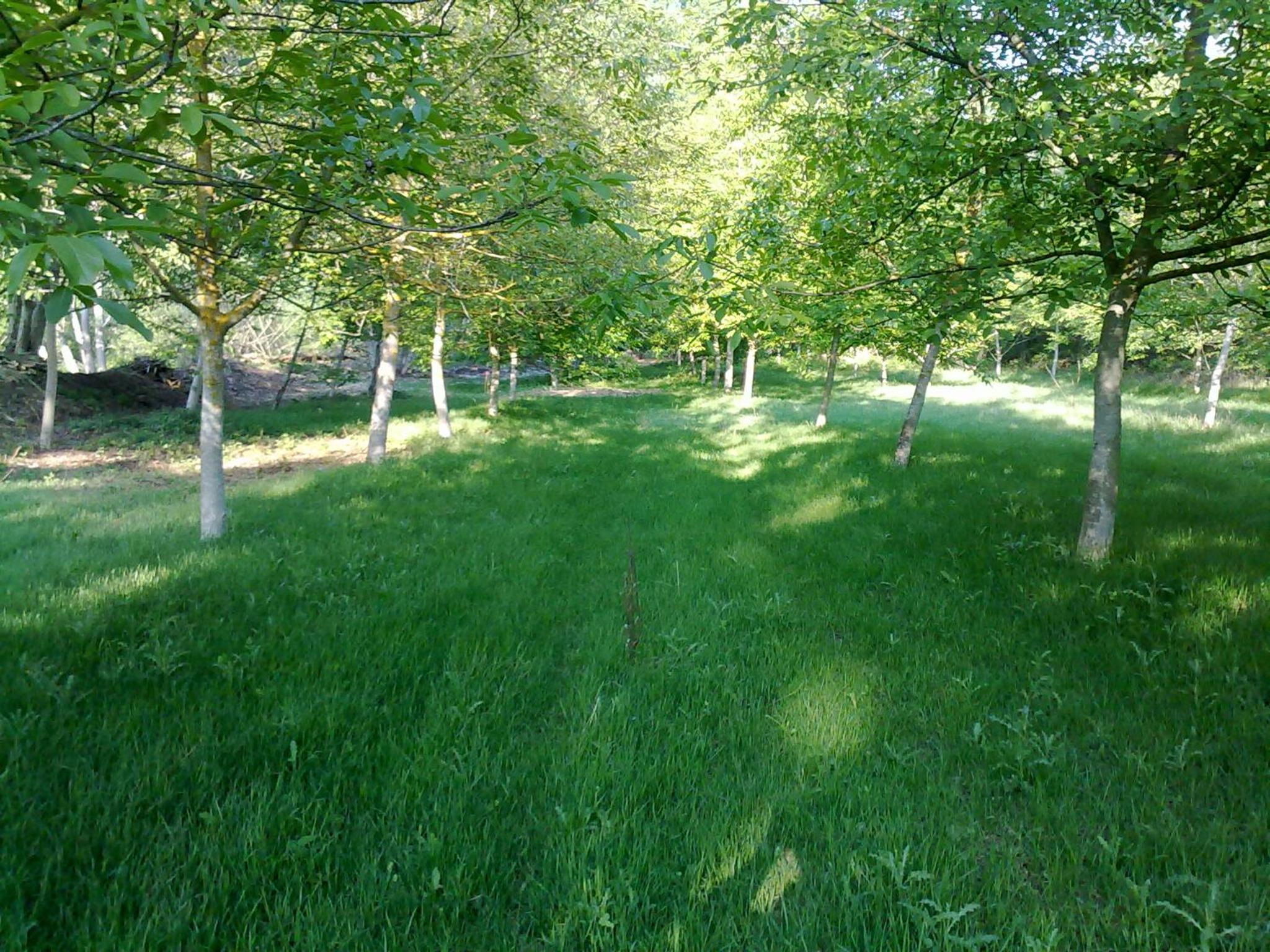 Photo 39