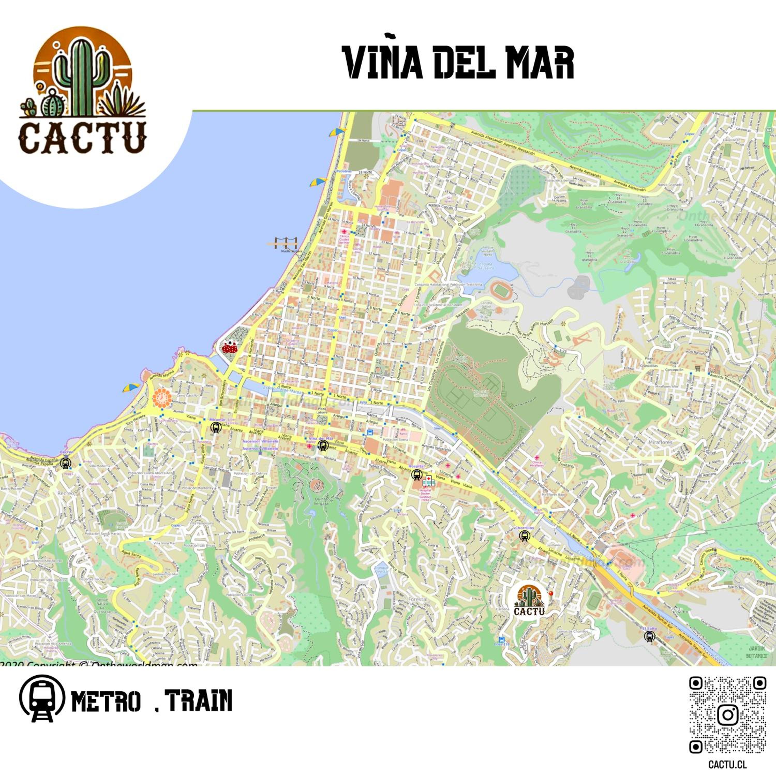 Cactu
