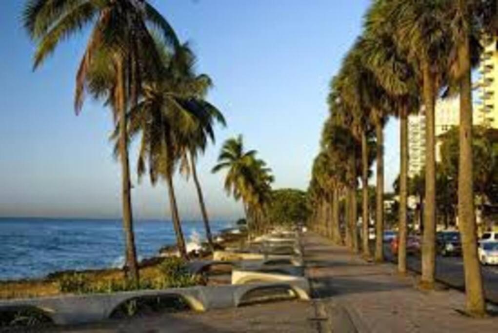 Comfortable Apt Laura Virginia in Santo Domingo
