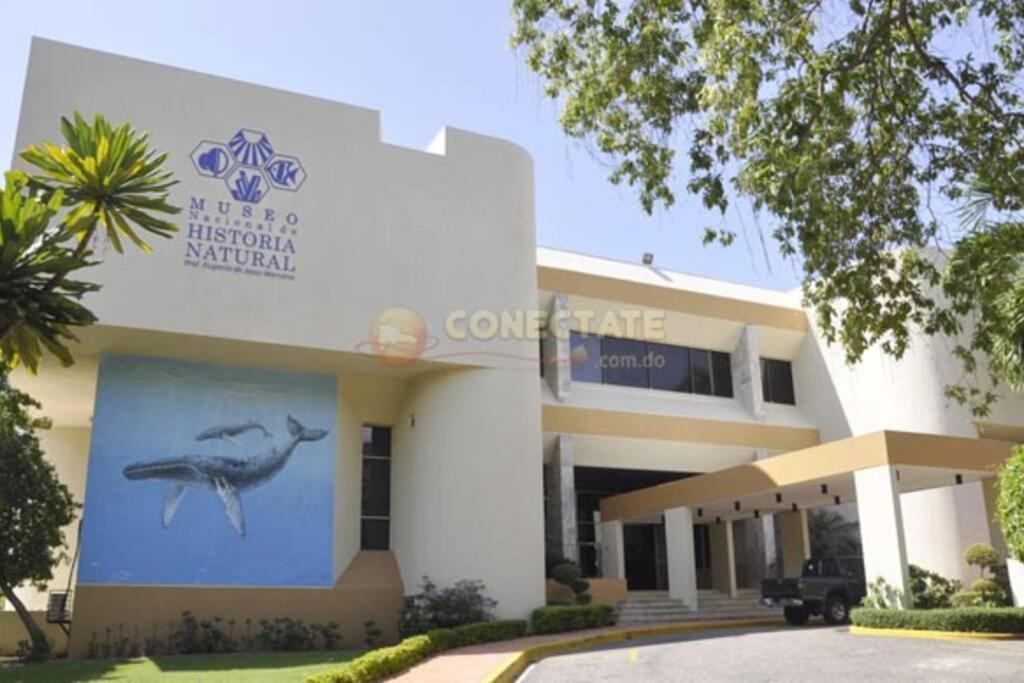 Comfortable Apt Laura Virginia in Santo Domingo