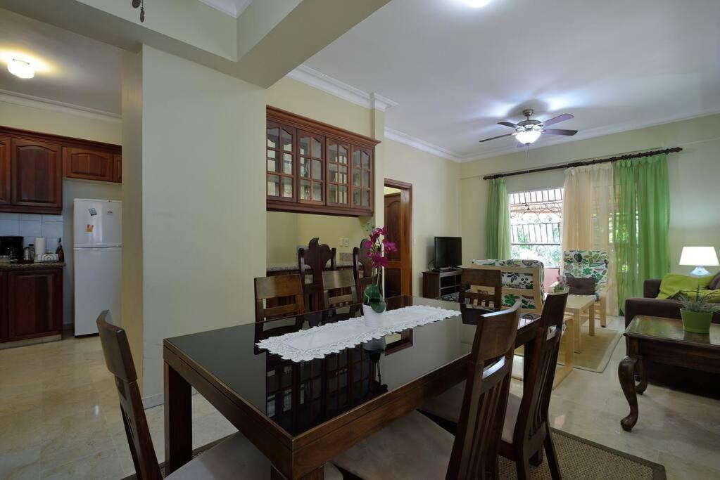 Comfortable Apt Laura Virginia in Santo Domingo