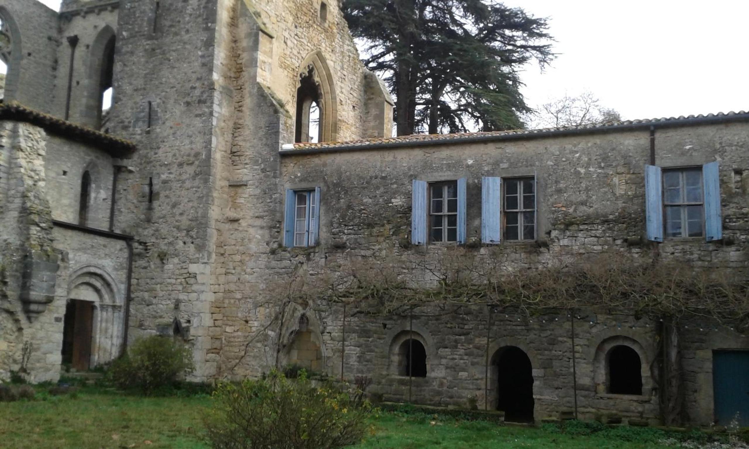 Photo 6