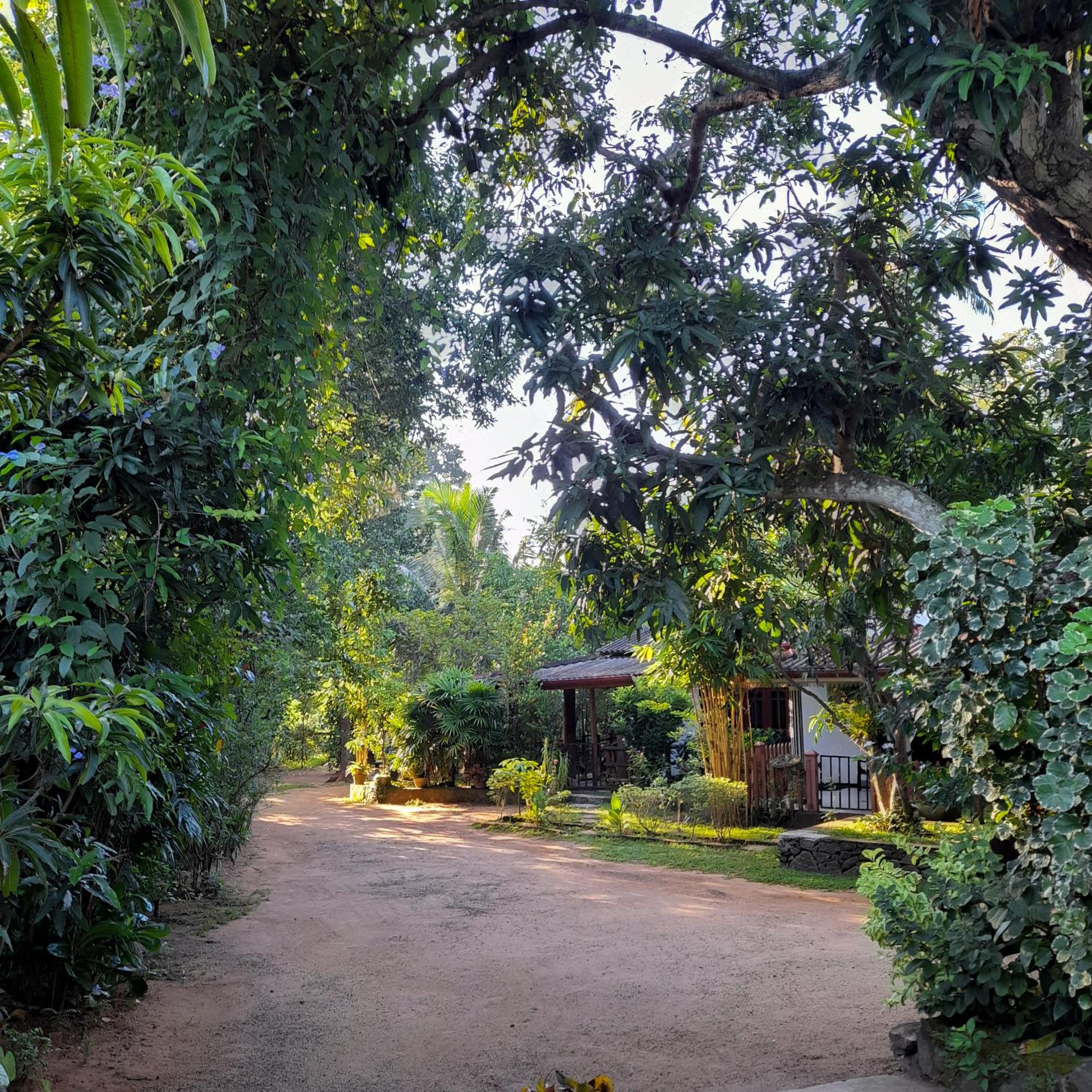 Batu's Safari lodge Udawalawe