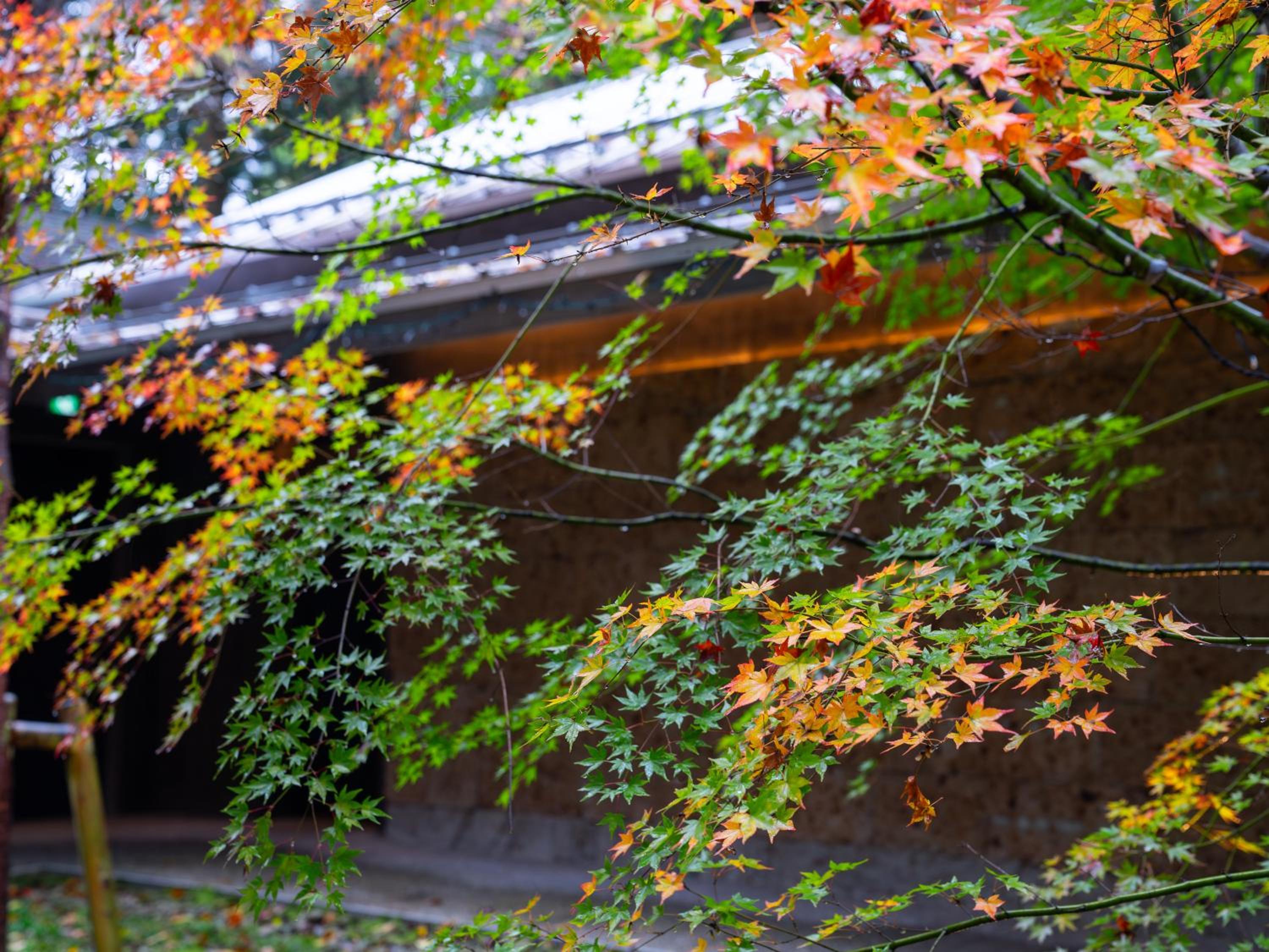 Nikko Nishimachi Club a la touto