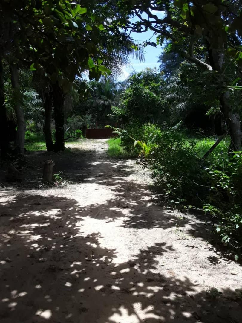 Guest House La Maison des Amis view 2