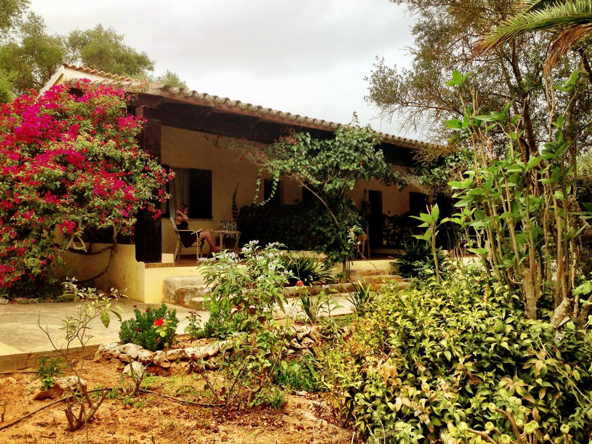 Photo 42