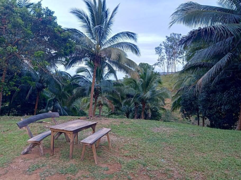 Staycation Bungalow at a Mountain Farm in Bataan view 4