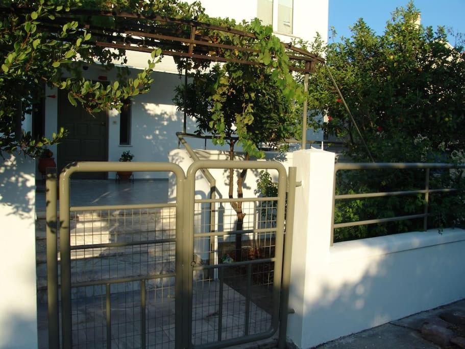 Photo 6