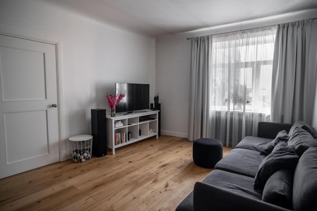 Cozy, sunny, central 1 bedroom apartment view 2