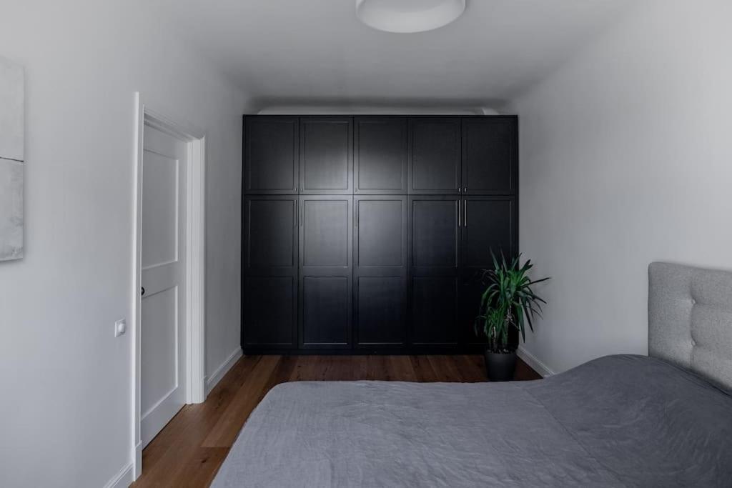Cozy, sunny, central 1 bedroom apartment view 4