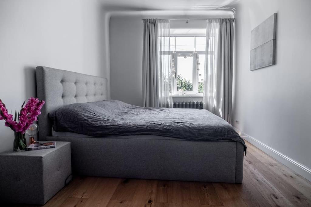 Cozy, sunny, central 1 bedroom apartment view 5
