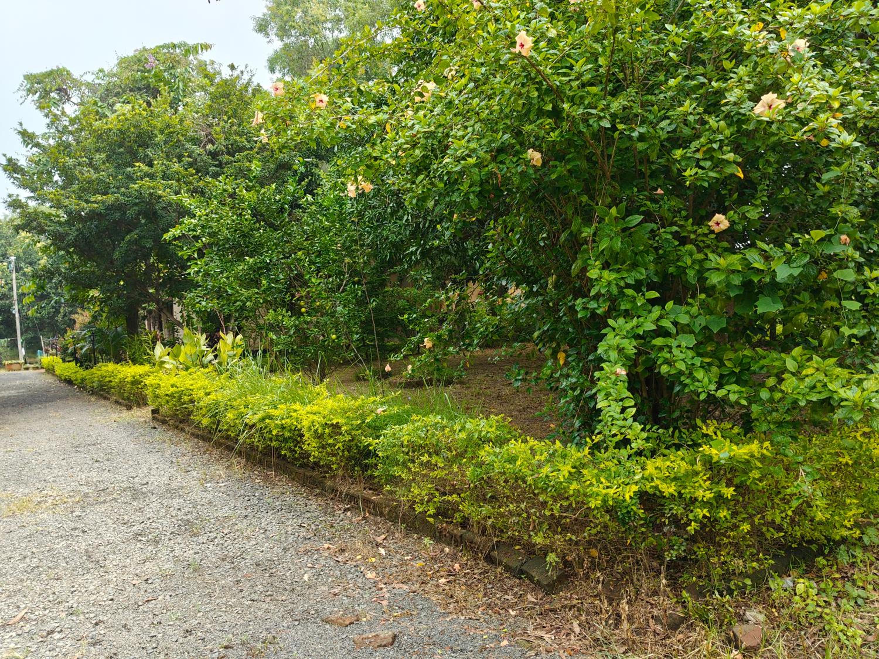 Perch Villa Homestay