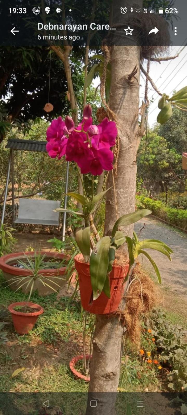 Perch Villa Homestay