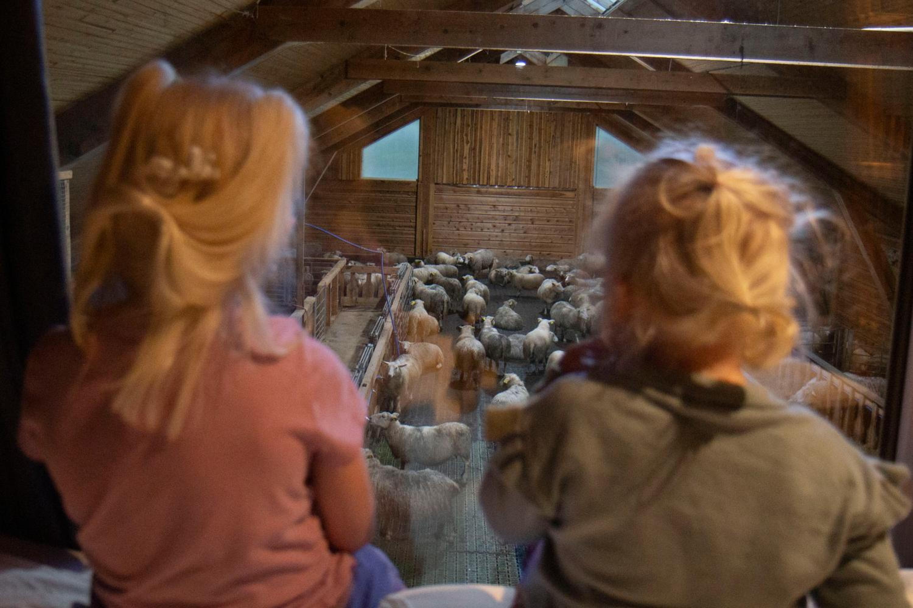 Unik fjøsleilighet - Image 2