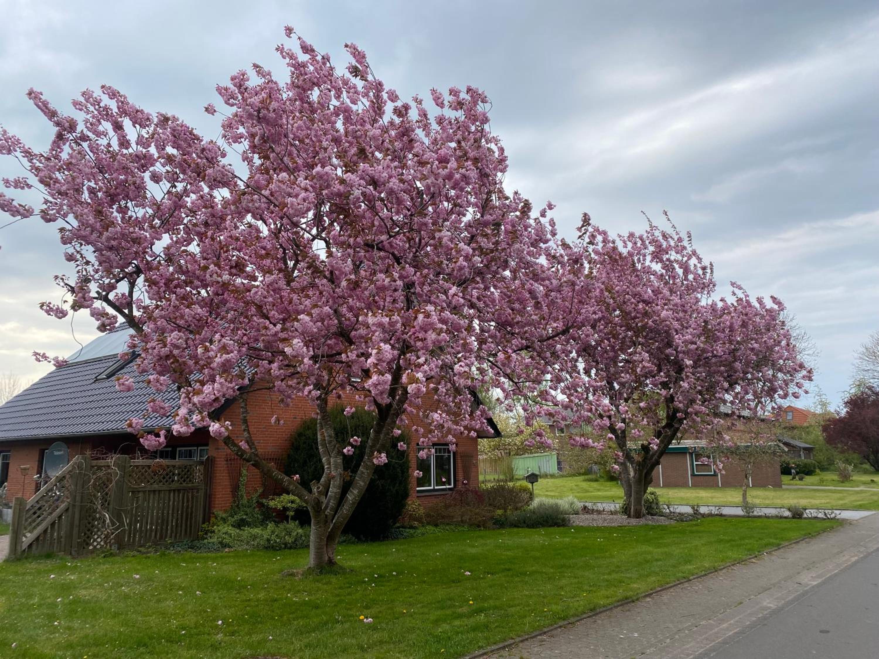 Ferienwohnung in Breiholz zwischen den Meeren, am Nordostseekanal