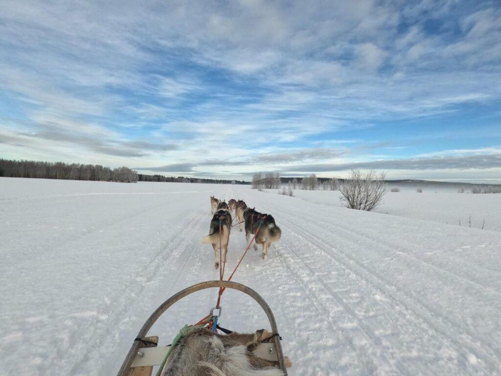 Photo 30