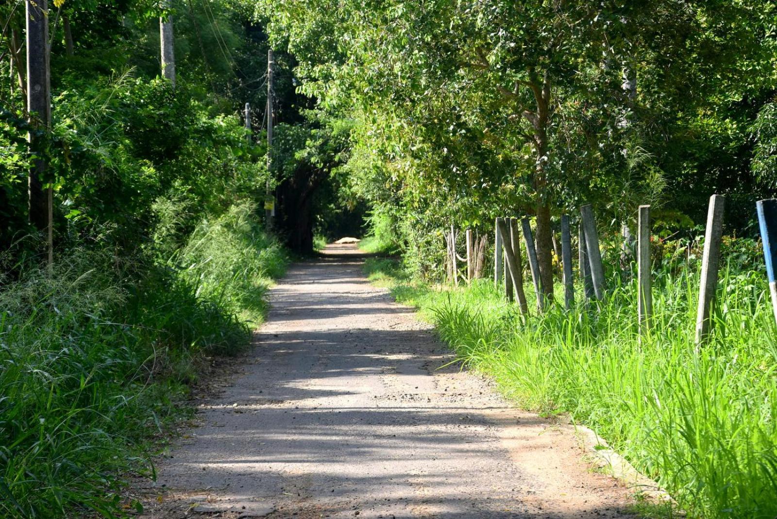 Lucky Holiday Home Anuradhapura