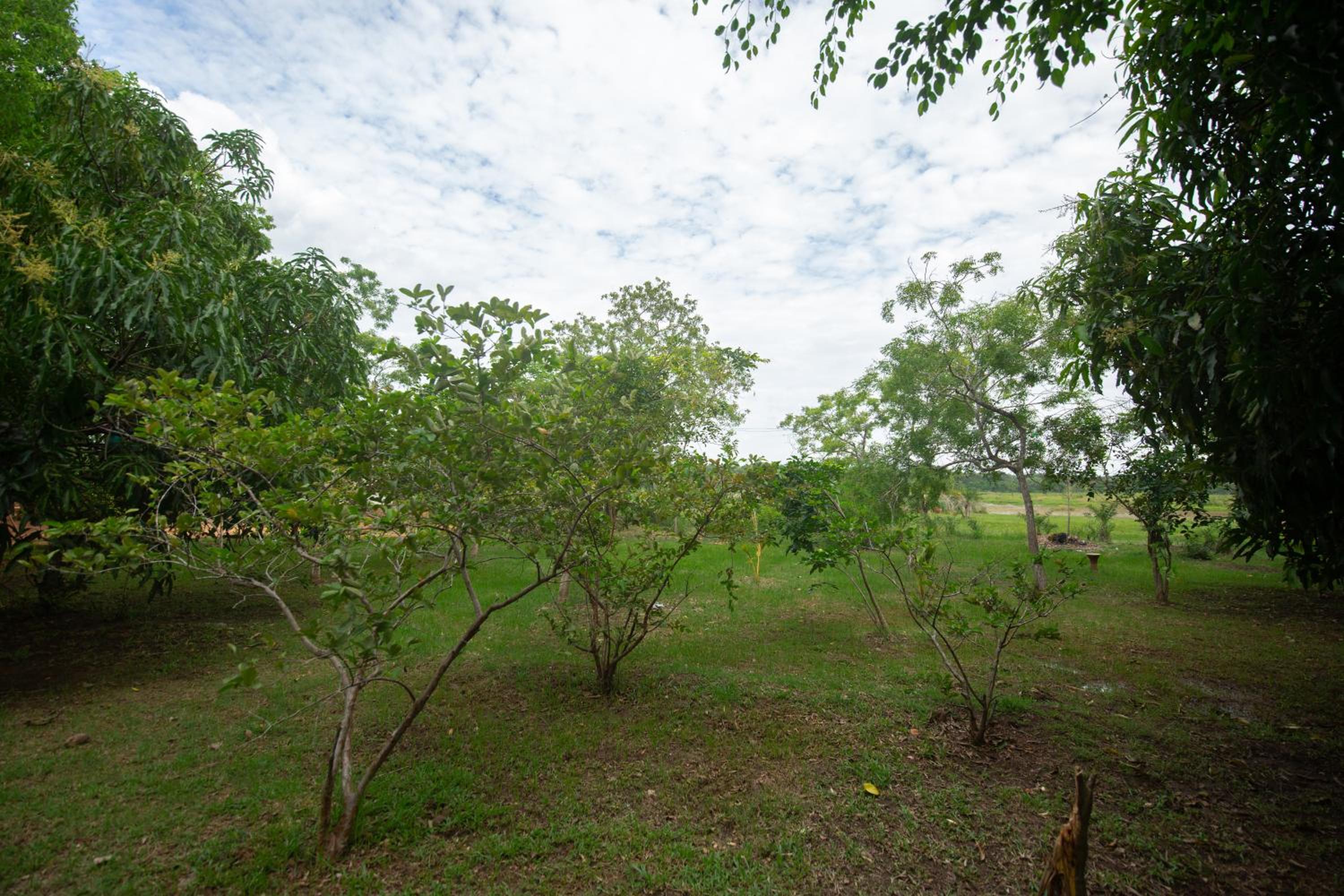 Photo 8
