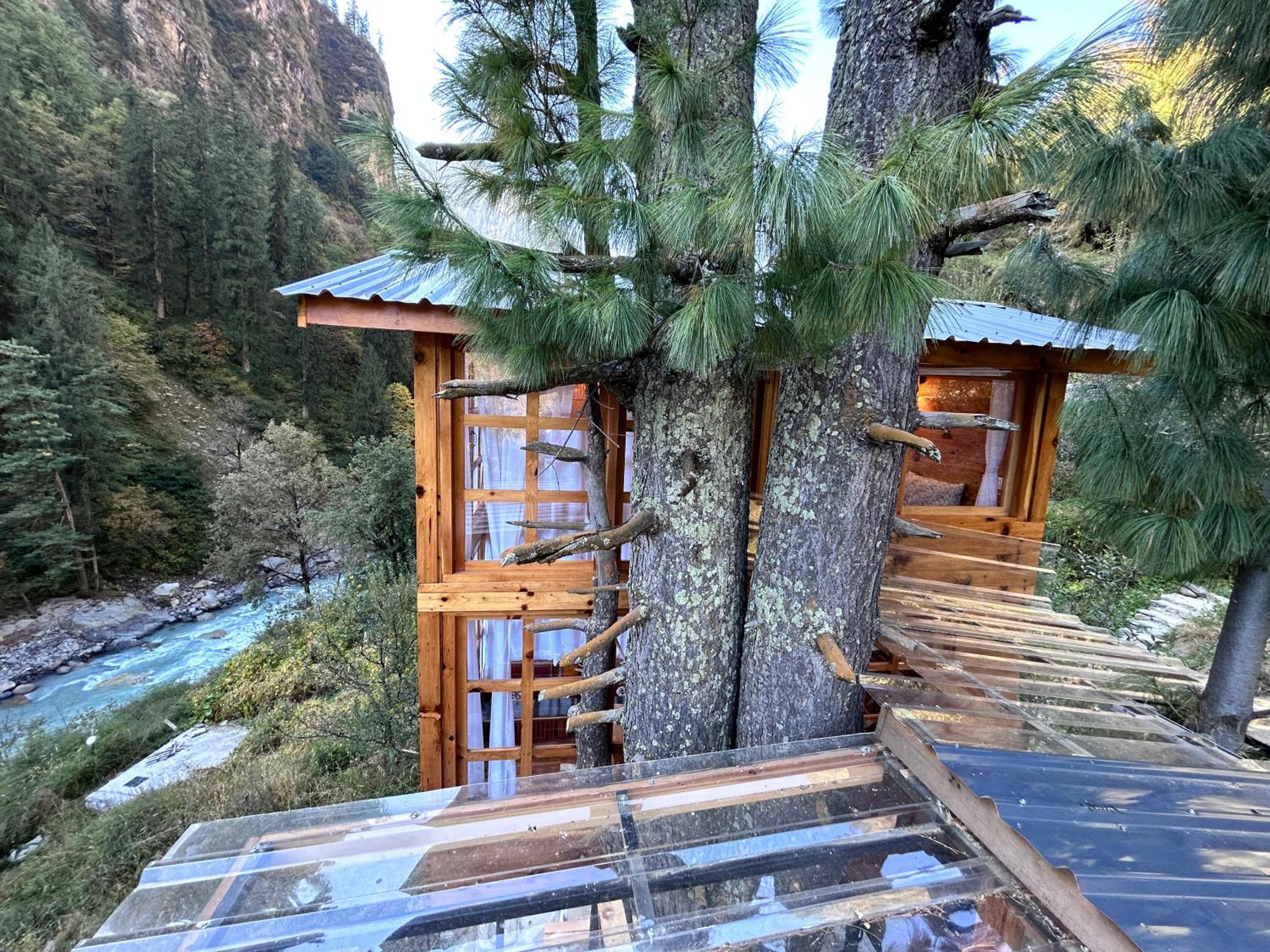 Sage Cabin Treehouse