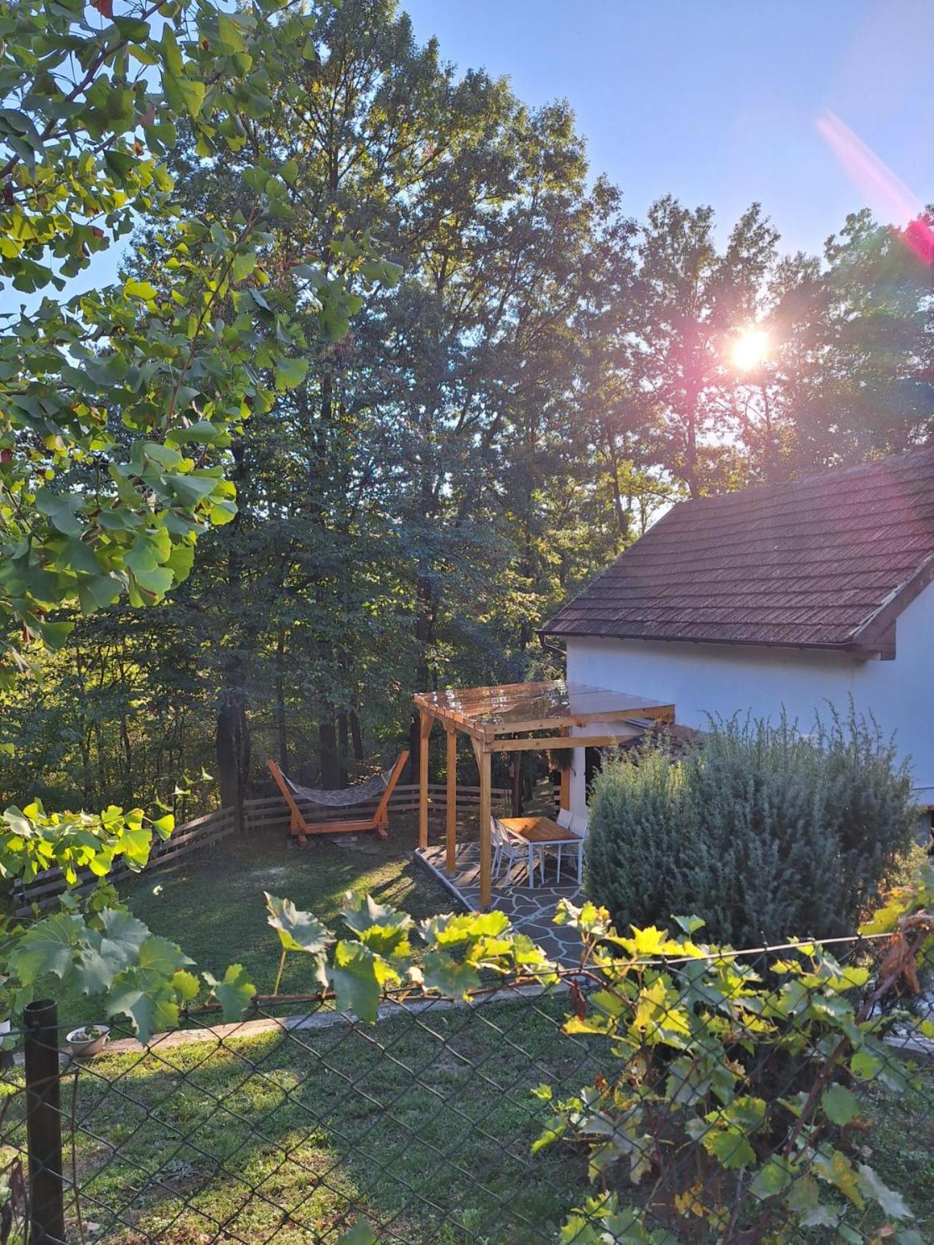Vikendica WoodNook Kosmaj - Šumski kutak view 2