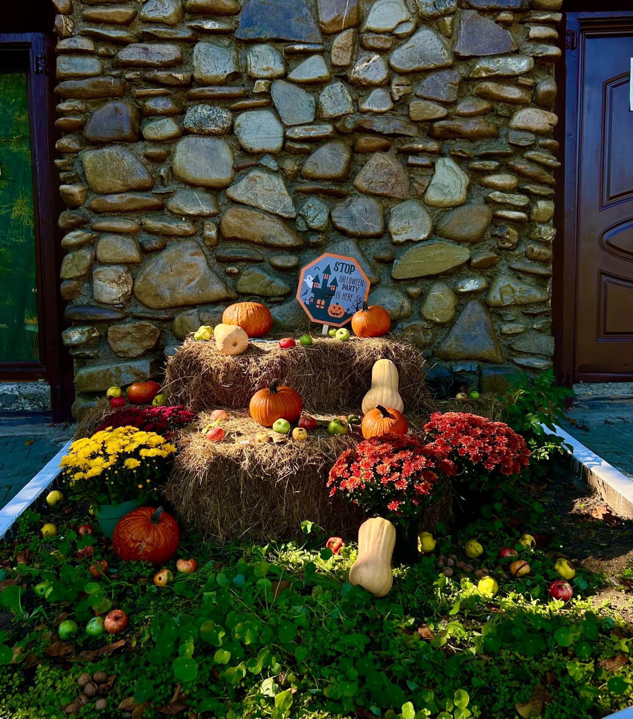 Sofia Lake House