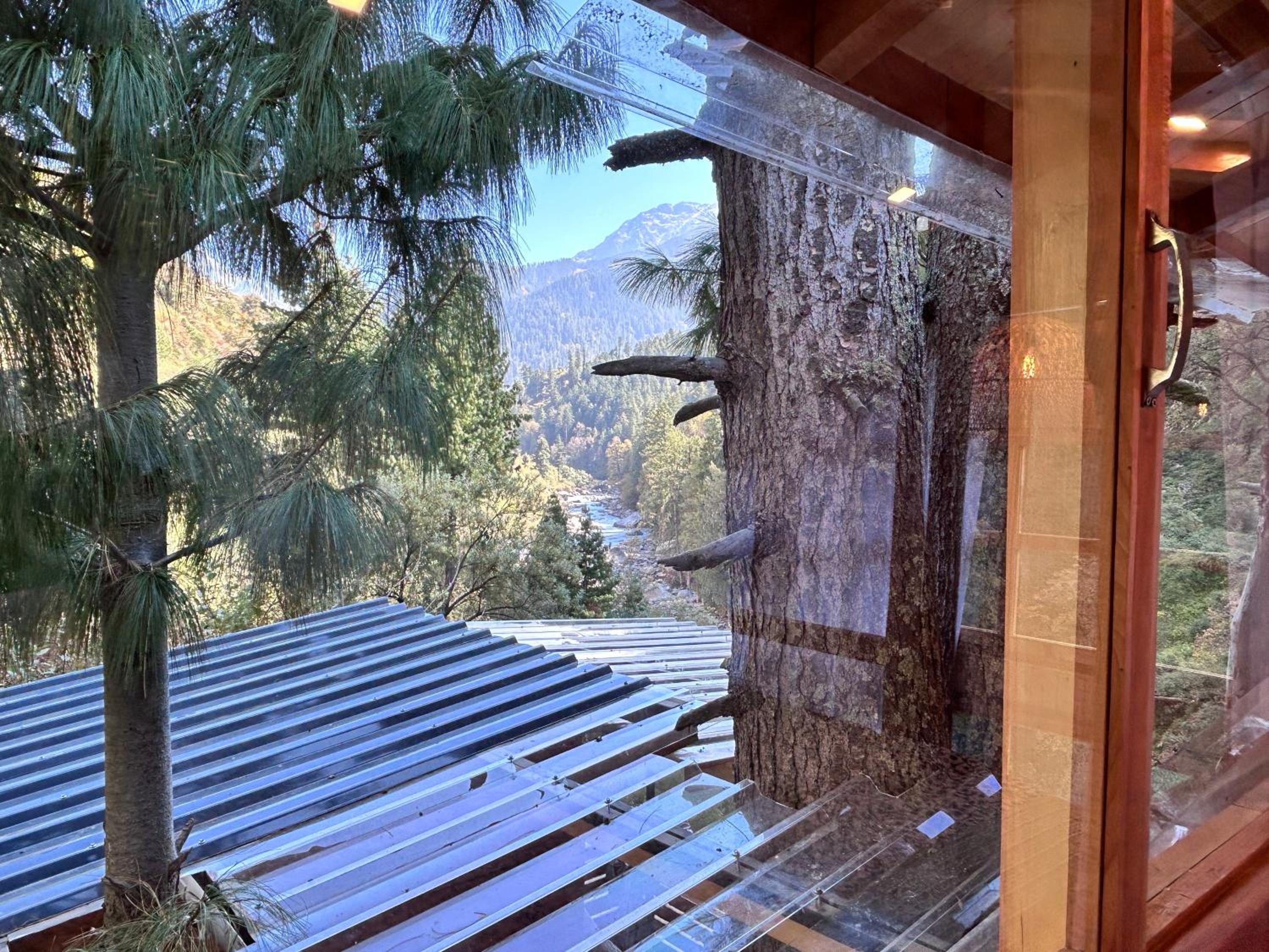 Sage Cabin Treehouse
